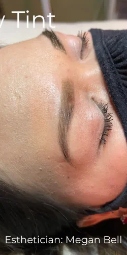 15533-brow-lash-tint-c2-a1.jpg